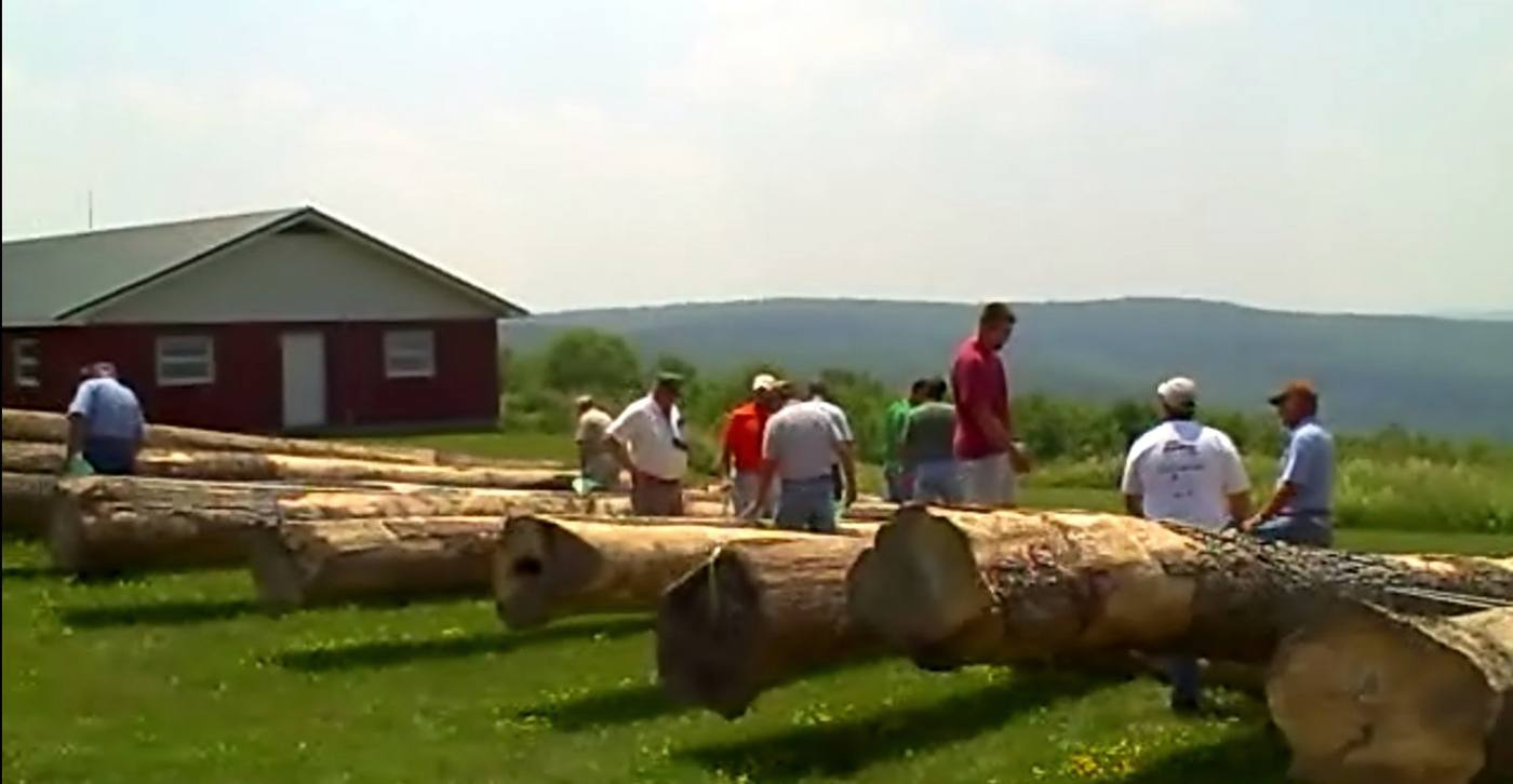 Hardwood log bucker training session in the field